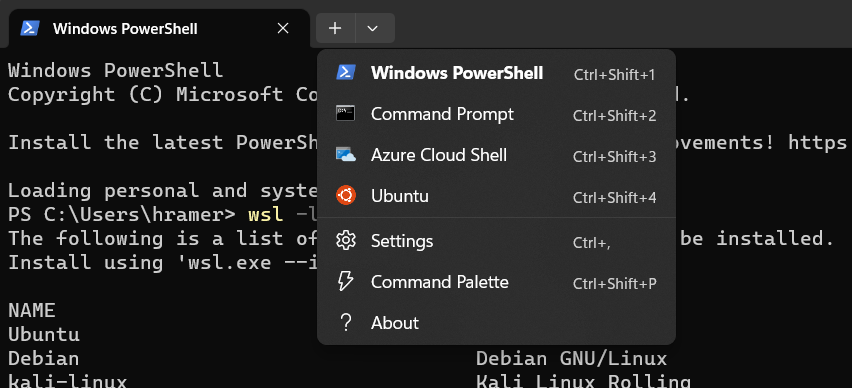 Select the Ubuntu CLI in the Windows Subsystem for Linux